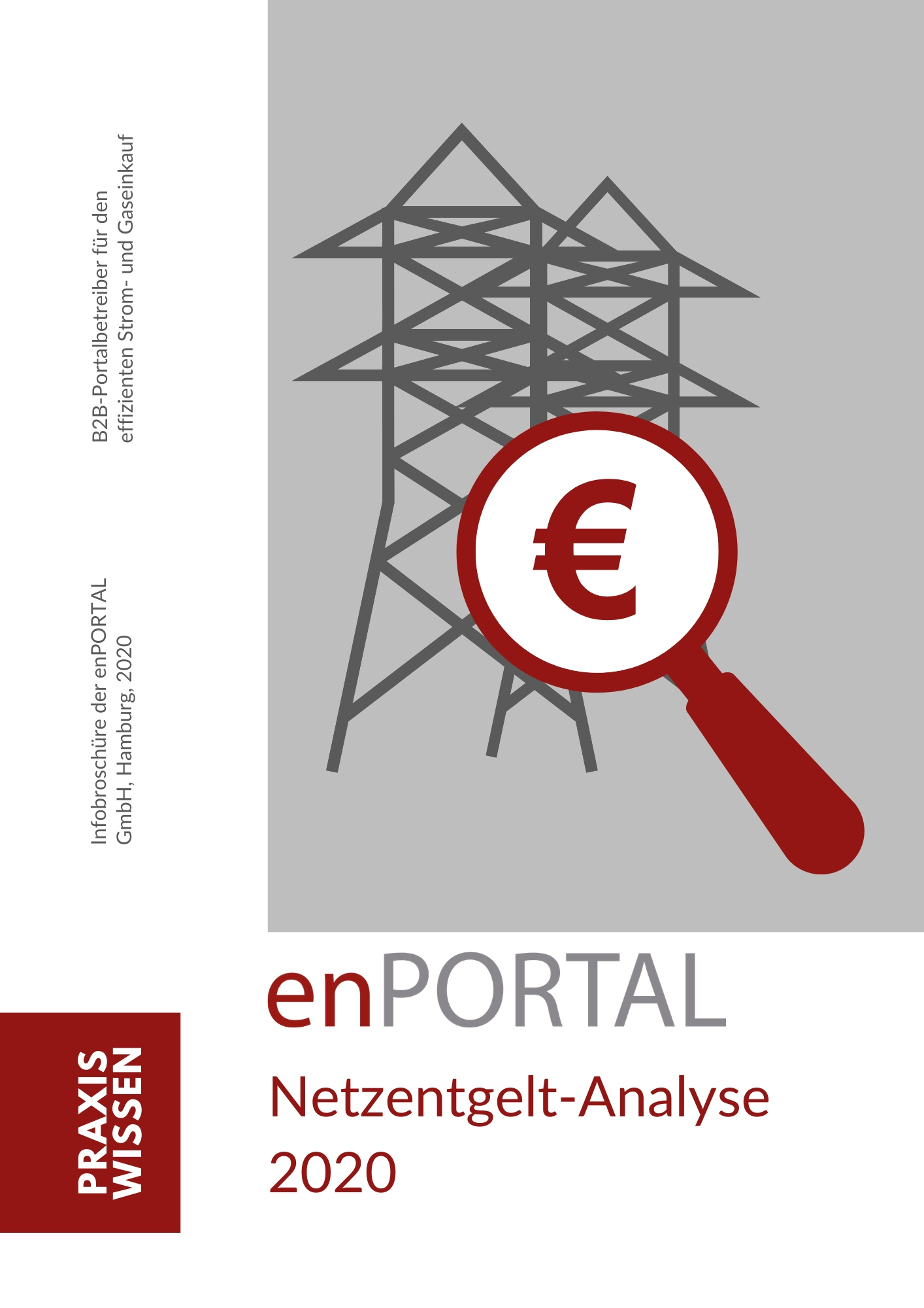 enPORTAL_Netzentgelt-Analyse_2020_Titelbild