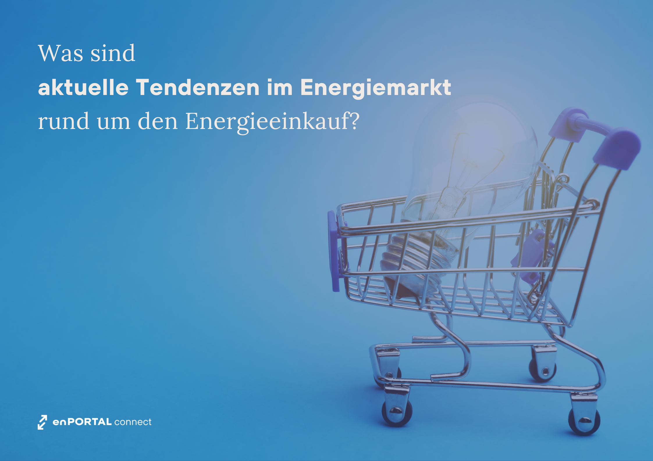 enPORTAL connect Tendenzen Energiemarkt Energiewissen Feb. 2024
