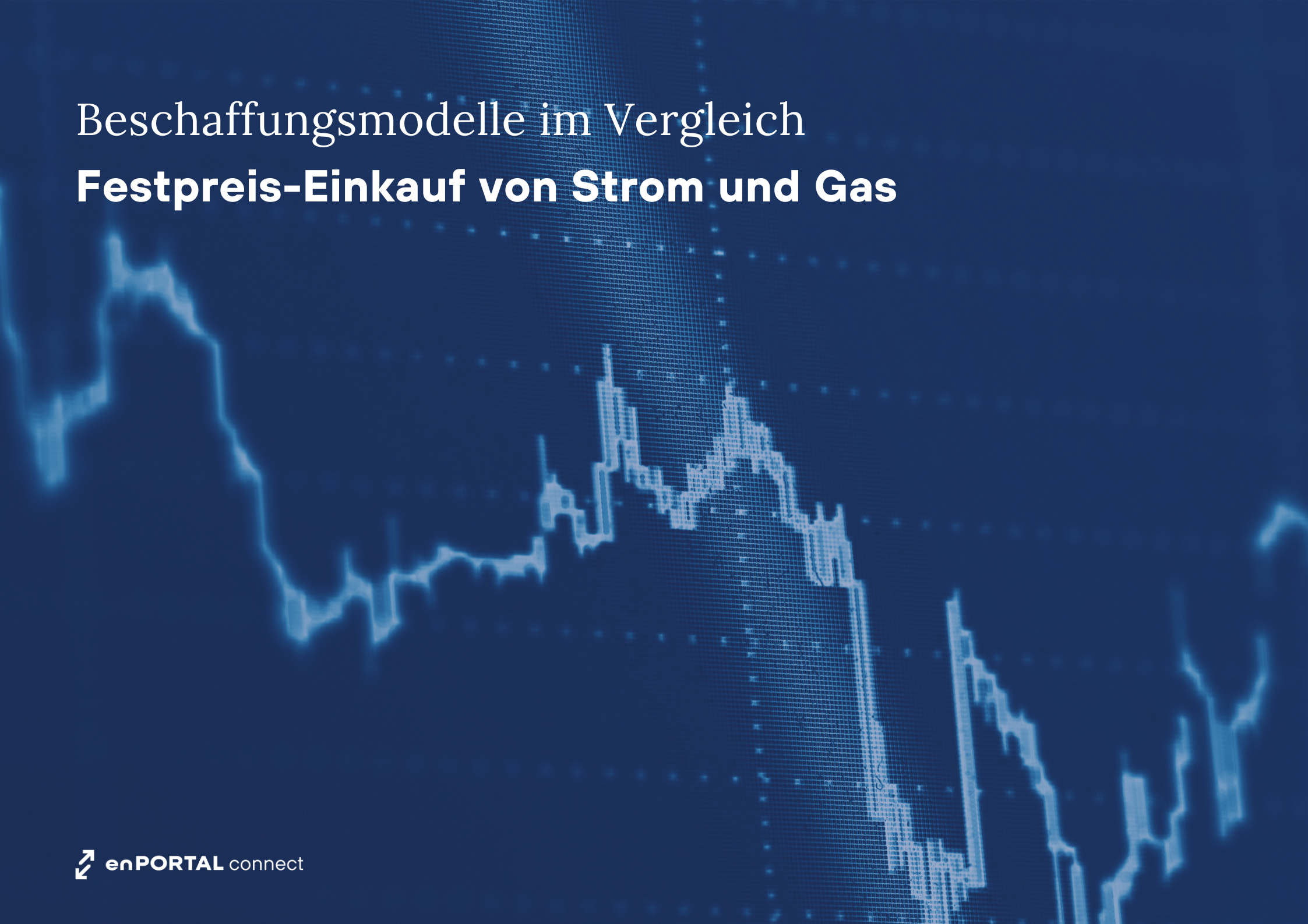 Festpreis Einkauf Strom Gas