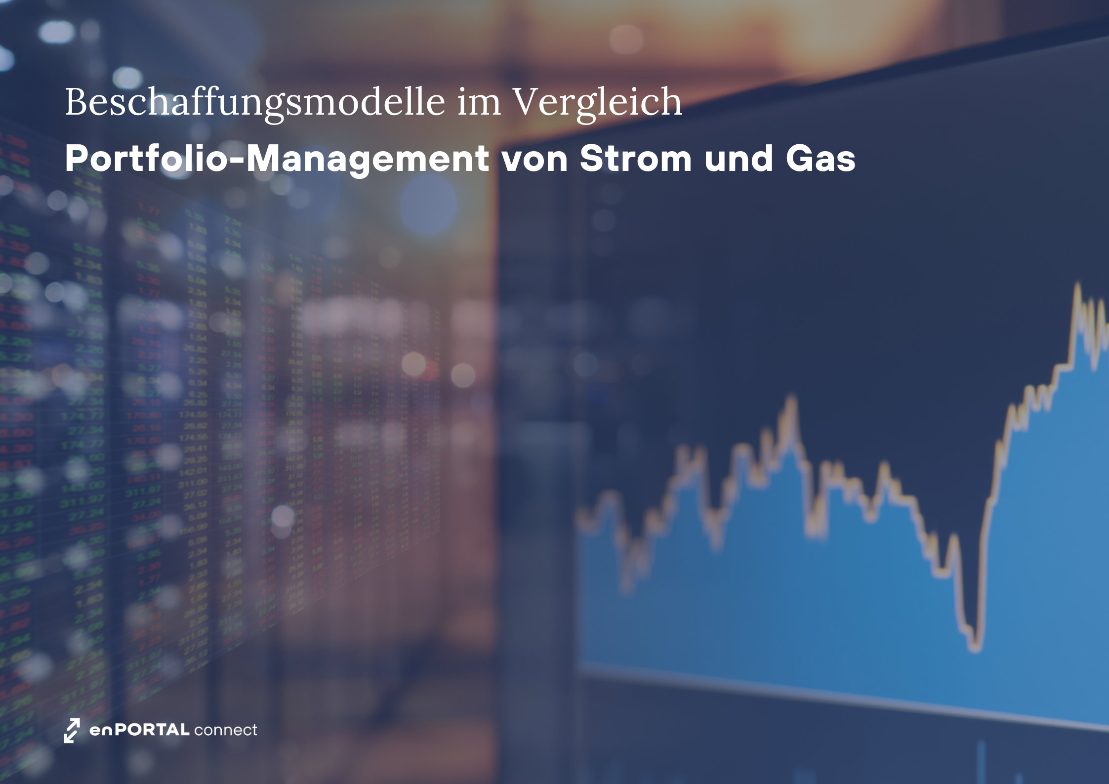 Portfolio Management Strom Gas Energie enPORTAL connect