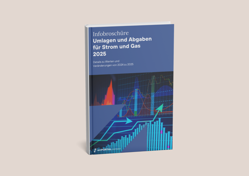 enPORTAL-connect-Infobroschuere-Umlagen-Abgaben-Strom-Gas-2025